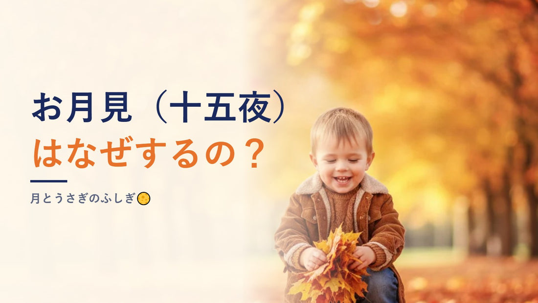 お月見（十五夜）はなぜするの？月とうさぎのふしぎ🌕