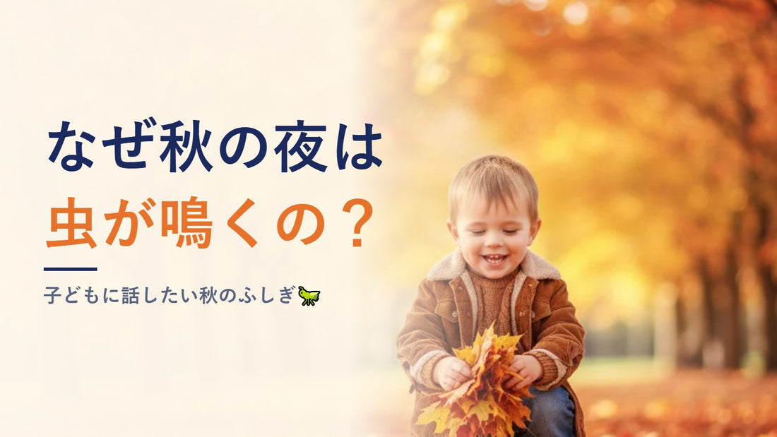 なぜ秋の夜は虫が鳴くの？子どもに話したい秋のふしぎ🦗