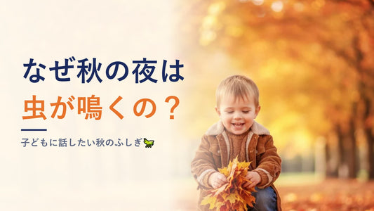 なぜ秋の夜は虫が鳴くの？子どもに話したい秋のふしぎ🦗
