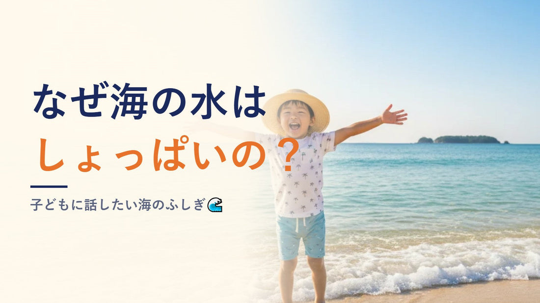 なぜ海の水はしょっぱいの？子どもに話したい海のふしぎ🌊
