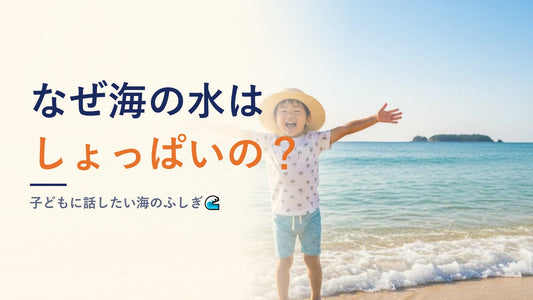 なぜ海の水はしょっぱいの？子どもに話したい海のふしぎ🌊